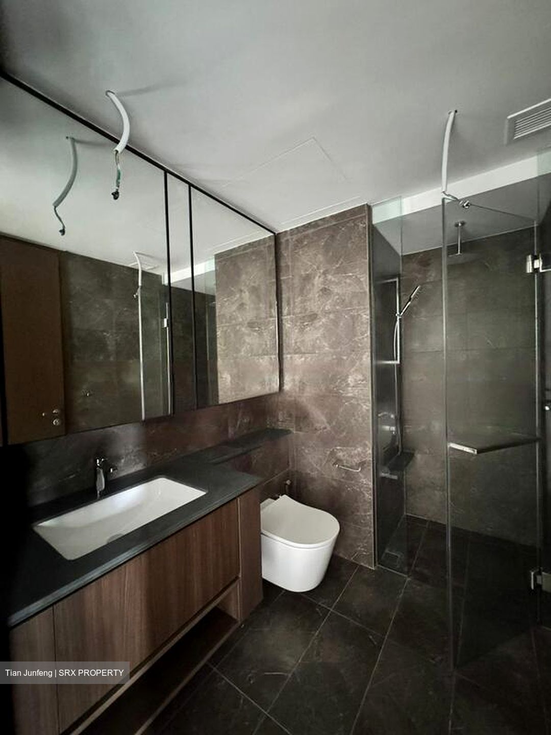 Kopar At Newton (D9), Apartment #454871321